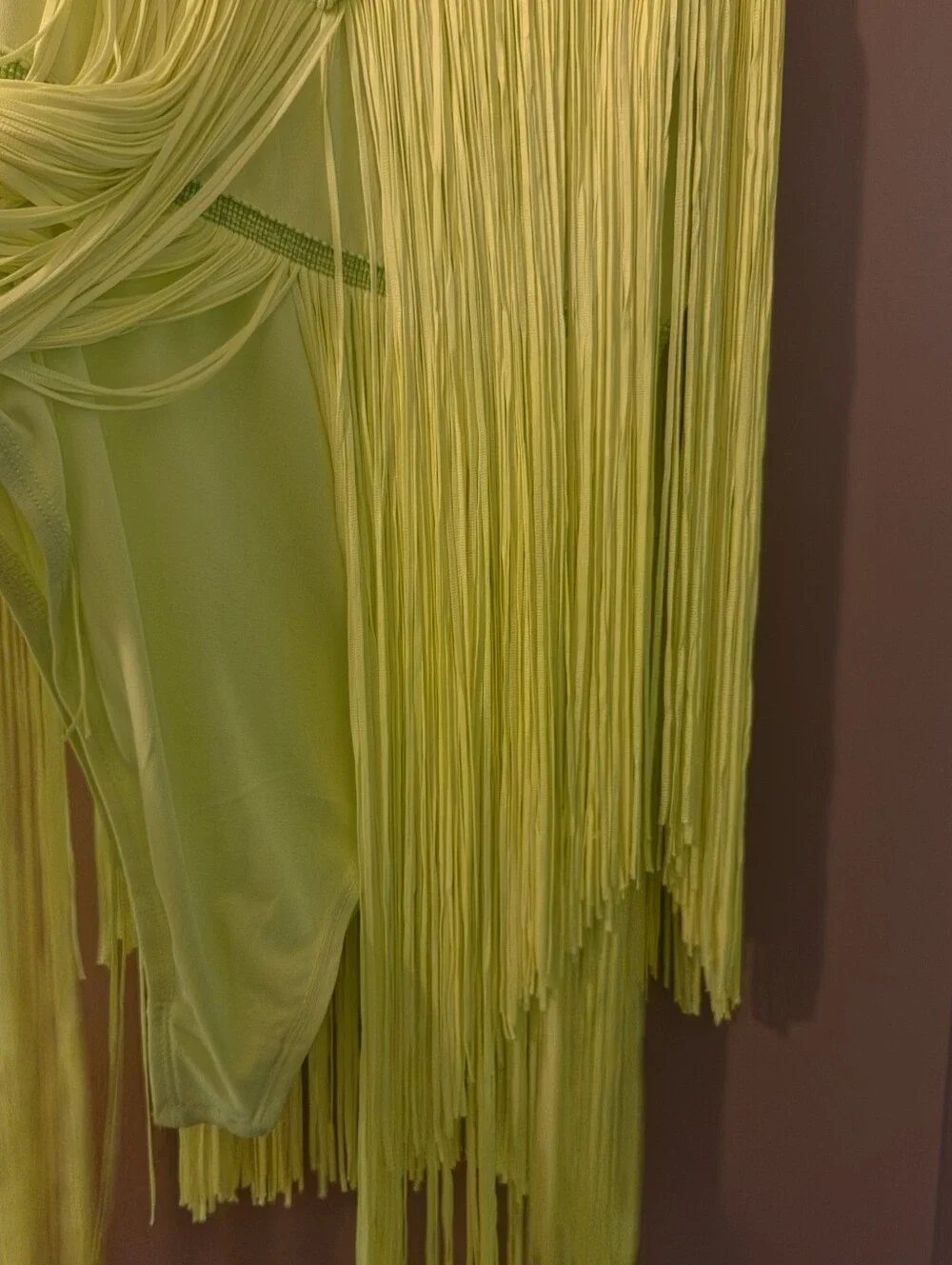 Vibrant Lime Green Carnival Fringe Dress